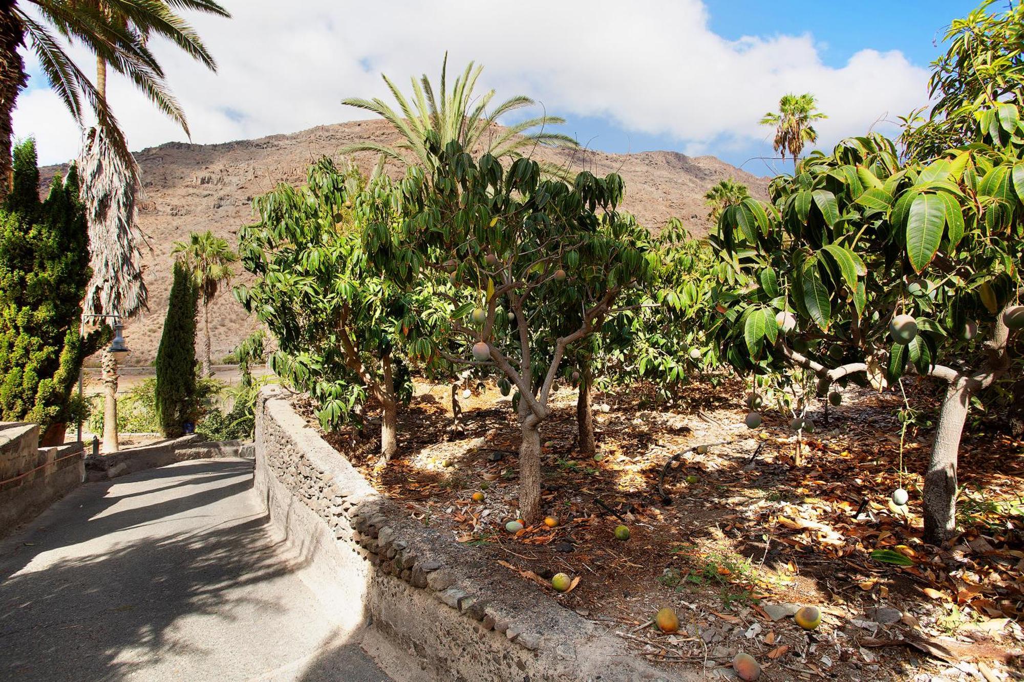 El Granero Paraiso Del Molinero Mogán Extérieur photo